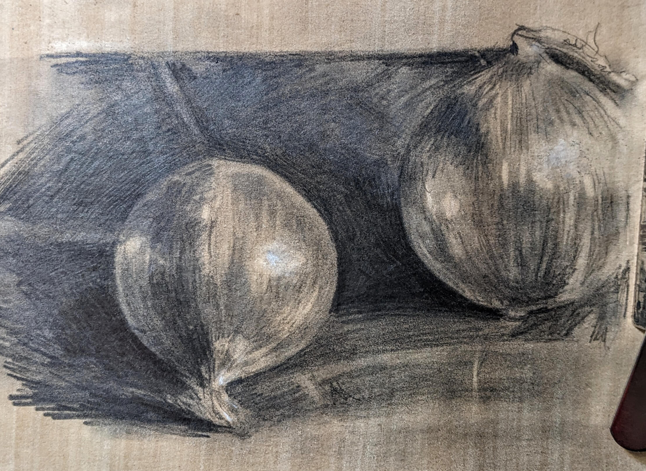 Graphite Onion Study