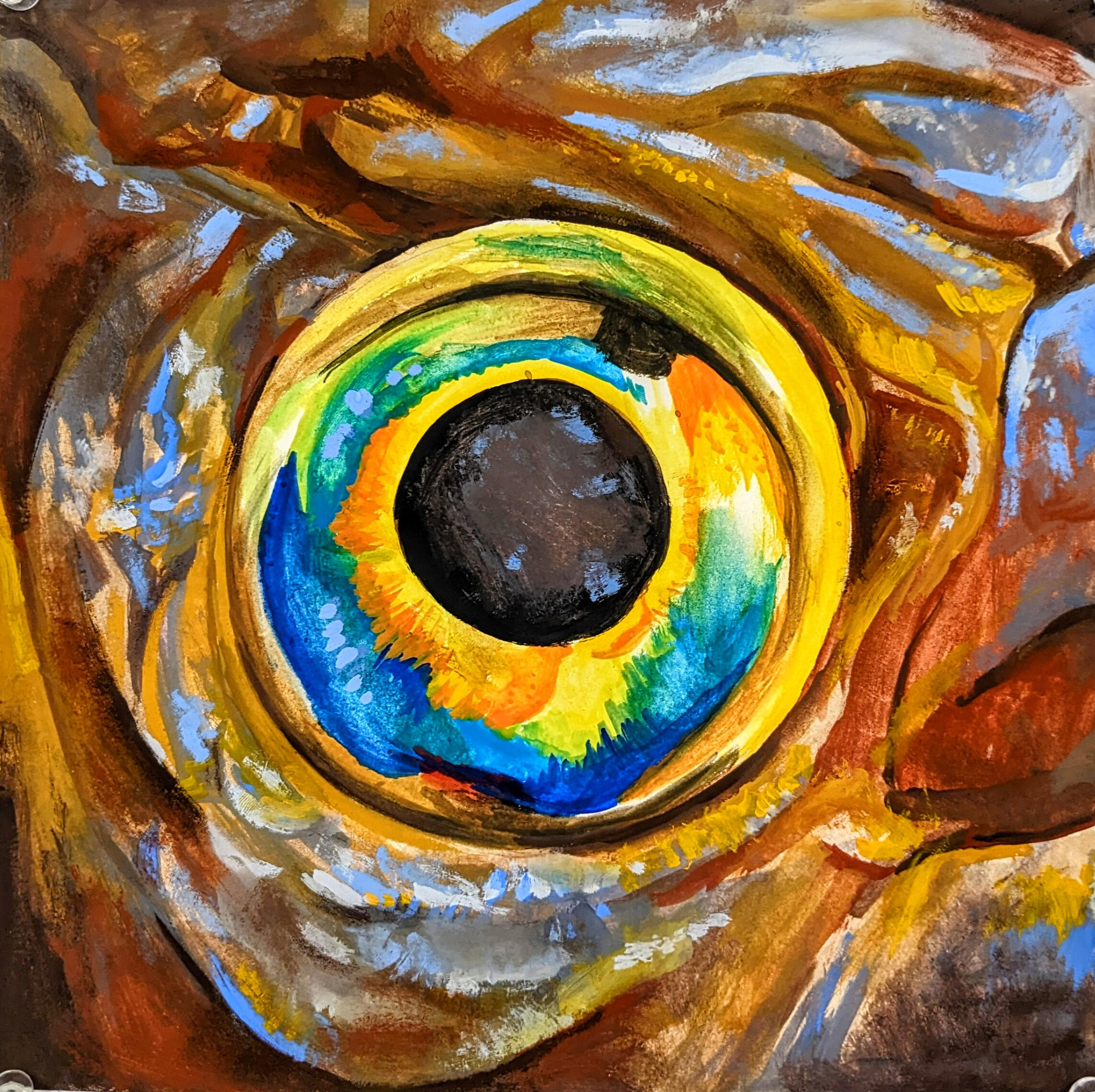 Fish Eye Study (Gouache)